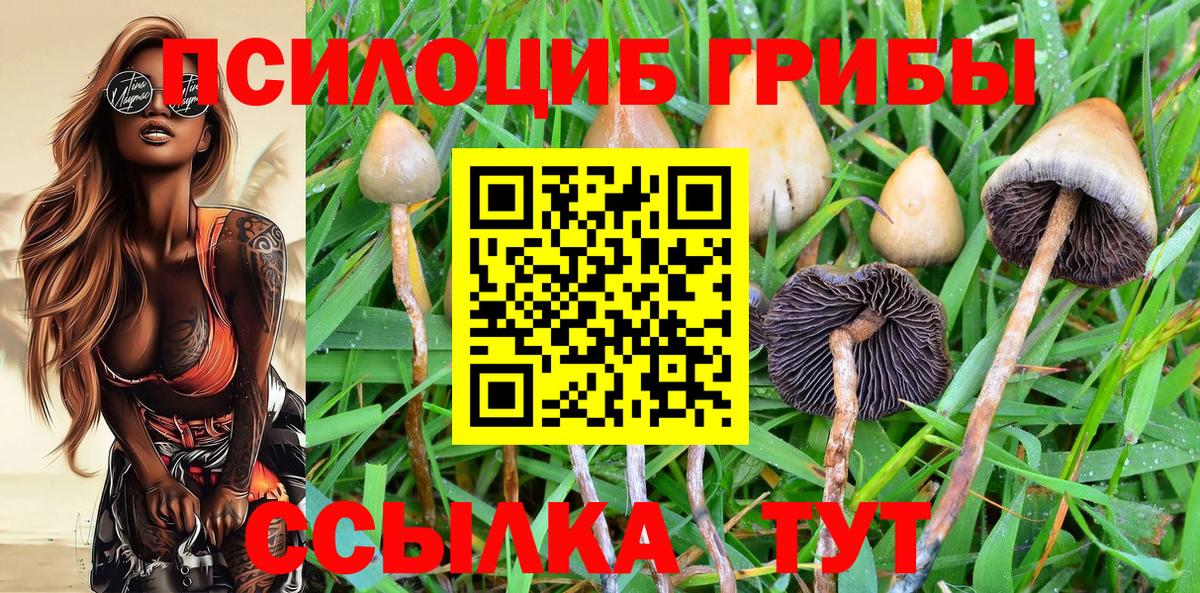 Щёлково  Галлюциногенные грибы GOLDEN TEACHER  Вход с VPN 